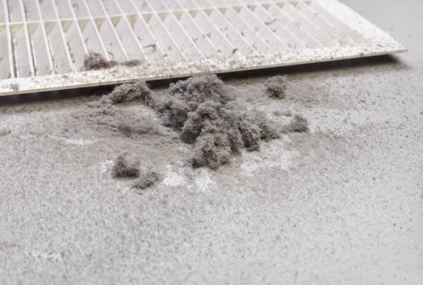 Best Air Vent Cleaning Services  in Horizon City, TX