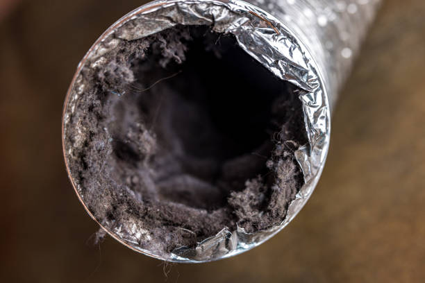 Best Home Air Vent Cleaning  in Horizon City, TX