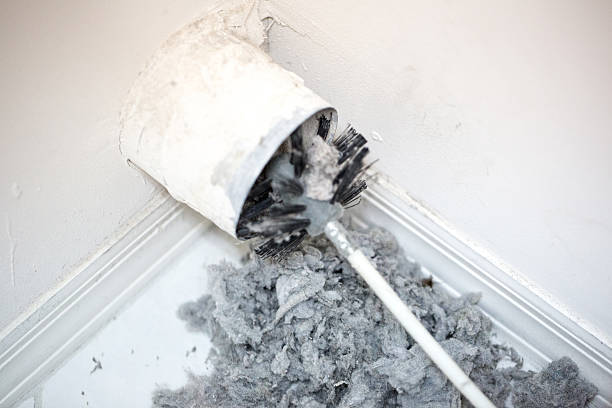 Best HVAC System Cleaning  in Horizon City, TX