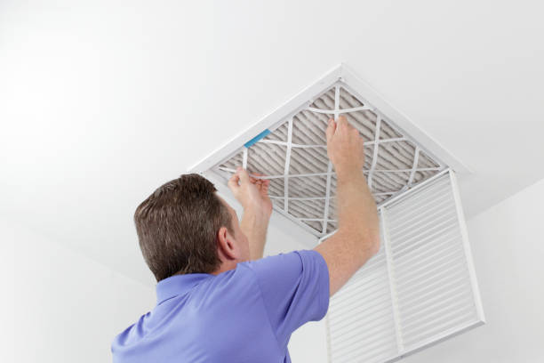 Best Local Air Duct Cleaning Services  in Horizon City, TX